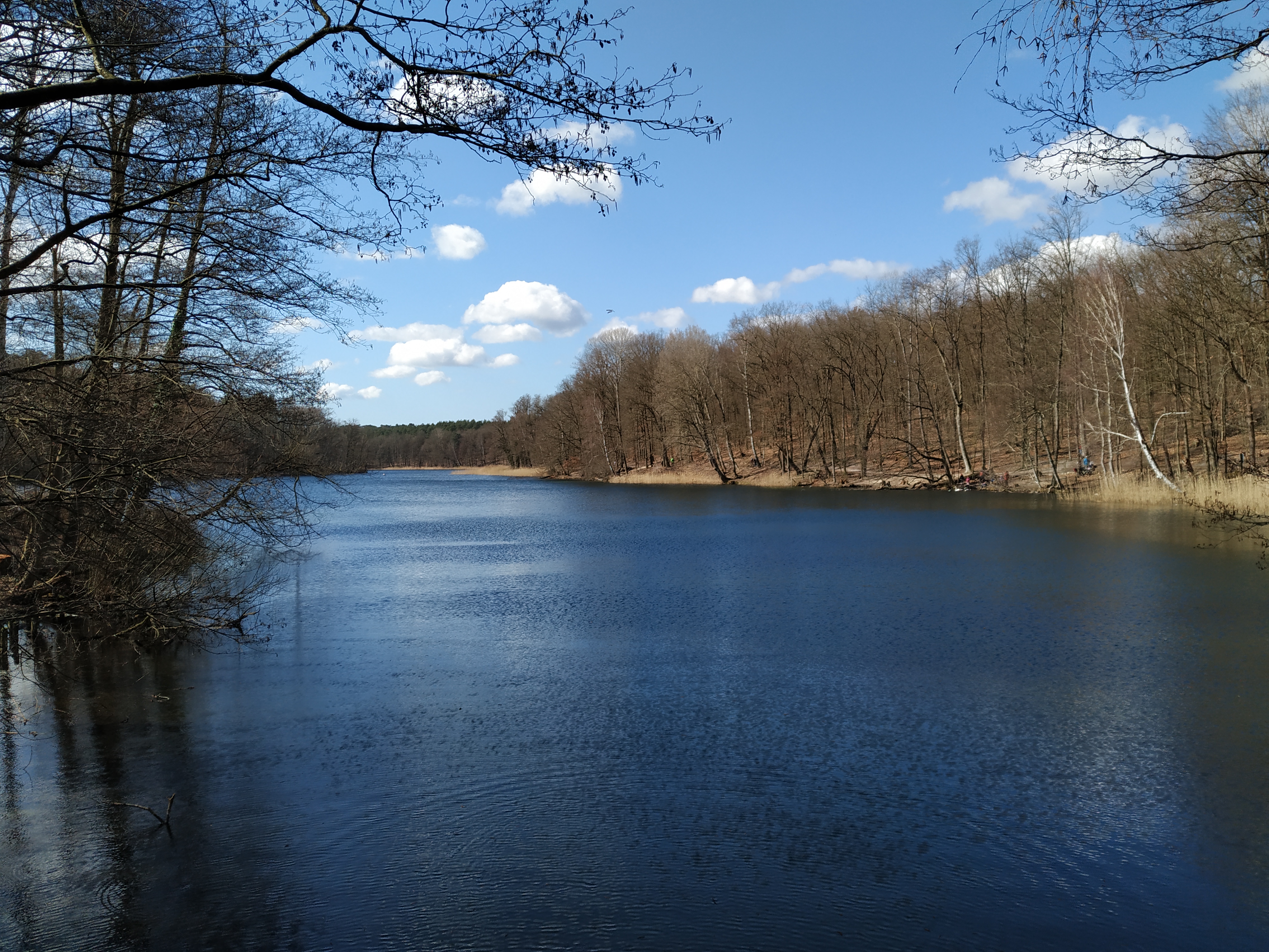 Bathing bank at Krumme Lanke in Berlin.